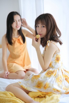 谈情说案剧情简介